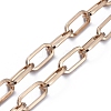 Iron Paperclip Chains Bag Straps X-AJEW-BA00001-3