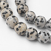 Natural Dalmatian Jasper Bead Strands G-G735-68-8mm-3