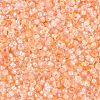 Baking Paint Glass Seed Beads SEED-Q041-03A-05-3