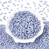 6/0 Glass Seed Beads SEED-N008-07B-2