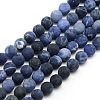 Nature Frosted Sodalite Round Bead Strands G-M064-4mm-01-1