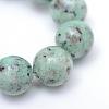 Natural Sesame Jasper/Kiwi Jasper Bead Strands G-R345-10mm-12-4