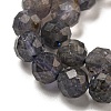 Natural Iolite Beads Strands G-A097-A14-09A-3