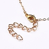 Pendant Necklaces NJEW-JN02729-01-3