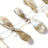 Electroplated Natural Freshwater Shell Beads Strands BSHE-S304-02-1