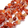 Natural Carnelian Beads Strands G-K220-32B-1