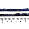 Natural Sodalite Beads Strands G-C128-A25-01-5