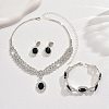 Oval & Horse Eye Brass Rhinestone Necklaces & Bracelets & Earring Sets FS-WG182CE-03-3