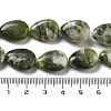 Natural Xinyi Jade/Chinese Southern Jade Beads Strands G-P528-L01-02-5