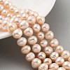 Natural Cultured Freshwater Pearl Beads Strands PEAR-C003-16D-2