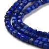 Natural Lapis Lazuli Dyed Beads Strands G-G140-C02-02-4