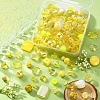 100G Acrylic Beads SACR-YW0001-41B-4