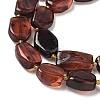 Natural Amber Beads Strands G-L095-C01-03-4