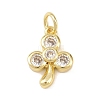 Brass Micro Pave Cubic Zirconia Charms LS-KK-H525-02B-G-1