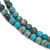 Dyed Natural Regalite/Imperial Jasper/Sea Sediment Jasper Beads Strands G-B124-C04-10-2