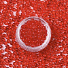 Transparent Glass Beads SEED-S040-09A-08-2