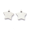 Tarnish Resistant 304 Stainless Steel Pendants STAS-K216-46P-1