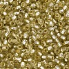 Silver Lined Glass Seed Beads SEED-T007-18A-05-3