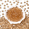 FGB Transparent Glass Seed Beads SEED-N013-01C-05-3