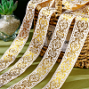   Ethnic Style Polyester Grosgrain Ribbons OCOR-PH0001-53-2