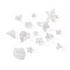 Craftdady 450Pcs 15 Styles Transparent Acrylic Pendants & Bead Caps & Beads FACR-CD0001-01-2