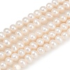 Natural Cultured Freshwater Pearl Beads Strands PEAR-I007-07O-13-2
