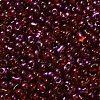 Spray Painted Glass Seed Beads SEED-F005-06A-04-3