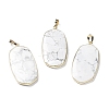 Natural Howlite Pendants G-K338-05C-1