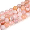 Natural Cherry Blossom Agate Beads Strands G-K310-C07-6mm-2