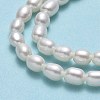 Natural Cultured Freshwater Pearl Beads Strands PEAR-J006-07F-4
