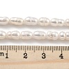 Natural Cultured Freshwater Pearl Beads Strands PEAR-P062-06B-5