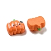 Halloween Theme Resin Decoden Cabochons LS-RESI-C050-01B-2