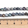 Natural Cultured Freshwater Pearl Beads Strands PEAR-P064-19D-05F-5