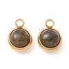 Natural Labradorite Charms G-K325-01G-04-1