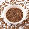 MIYUKI Delica Beads SEED-MY11-DB0505-2