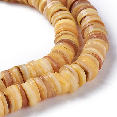 Natural Freshwater Shell Beads Strands BSHE-I016-04B-1
