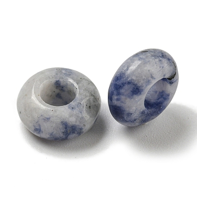 Natural Blue Spot Jasper Beads G-Q173-03A-14-1