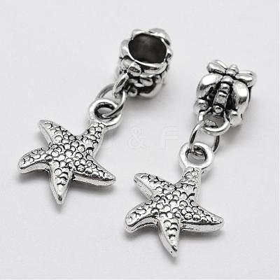 Alloy European Dangle Charms PALLOY-P120-12-1