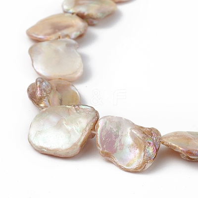 AB Color Plated Natural Freshwater Shell Beads Strands X-BSHE-G033-03B-1