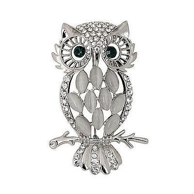 Alloy Rhinestone Brooches PW-WG81594-02-1