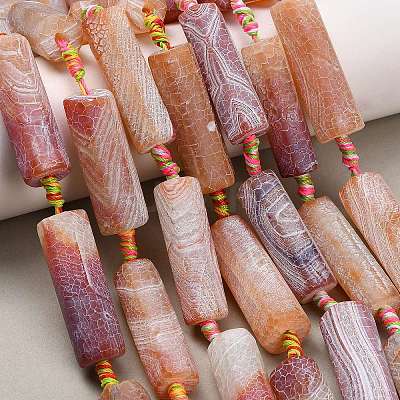 Natural Weathered Agate Beads Strands G-A321-C02-01A-1