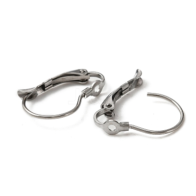 316 Surgical Stainless Steel Leverback Earring Findings STAS-WH0002-73B-1