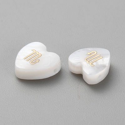 5Pcs Natural White Shell Beads BSHE-TAC0004-02J-1