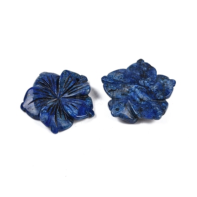 Natural Sodalite Carved Pendants G-B097-01A-04-1