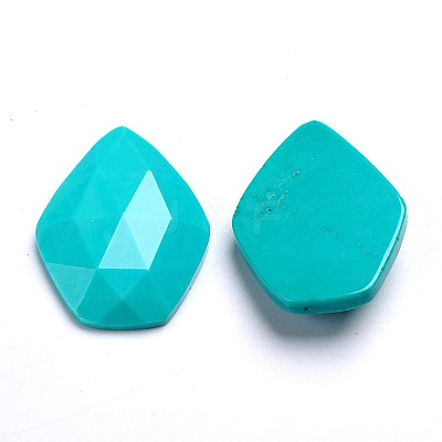 Dyed Faceted Natural Howlite Cabochons X-G-D763-02-1