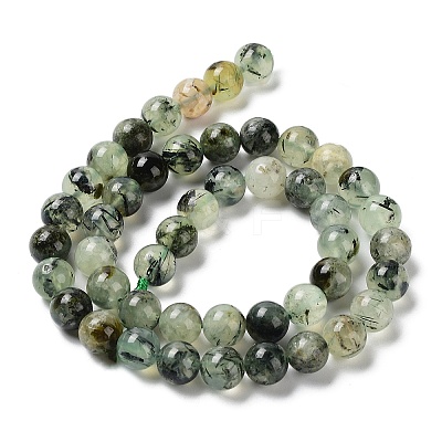 Natural Prehnite Beads Strands G-P322-48-8mm-01-1