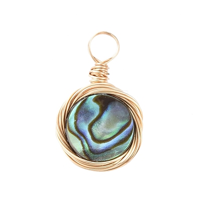 Natural Abalone Shell/Paua Shell Pendants PALLOY-JF00457-01-1