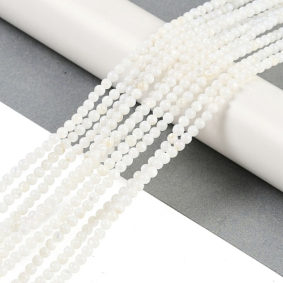 Natural Cultured Freshwater Shell Beads Strands BSHE-H109-03A-1