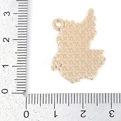 Alloy Pendants ENAM-R004-03KCG-05-1