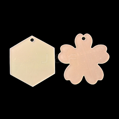 Acrylic Pendants X1-OACR-B009-01C-1